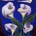 Big Sur Calla Lillies