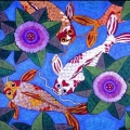 Koi