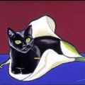 Moishe