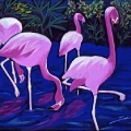 Pink Flamingos