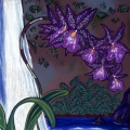 Purple Orchid